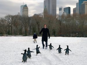Джим Керри на прогулке с пингвинами фото